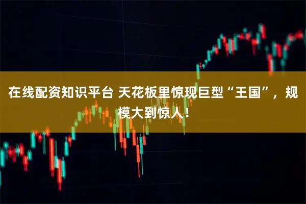 在线配资知识平台 天花板里惊现巨型“王国”，规模大到惊人！